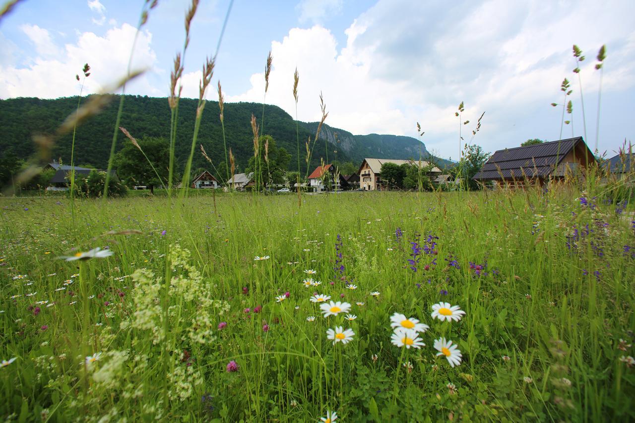 Hisa Pr'Pristavc Hotel Bohinj Exterior photo